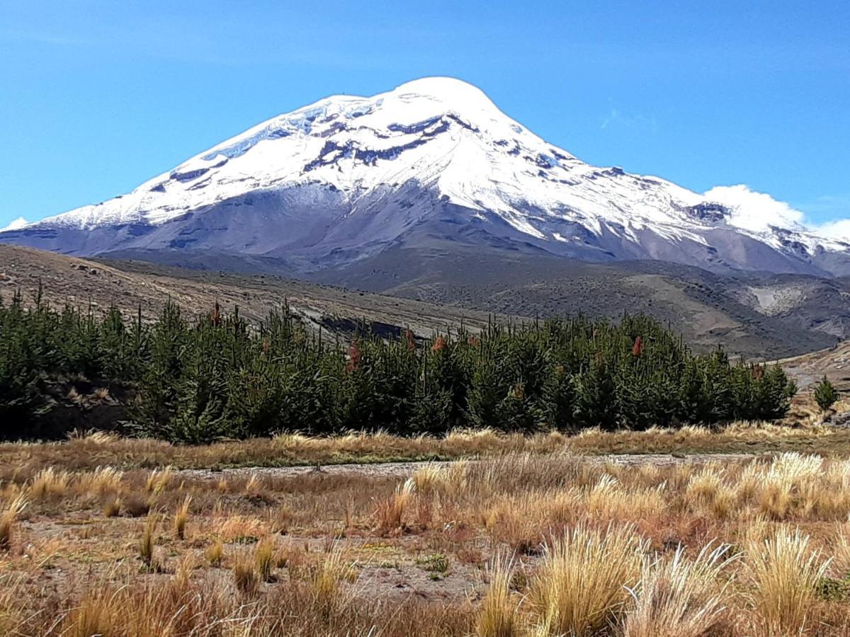 Hospedaje Chimborazo Экстерьер фото