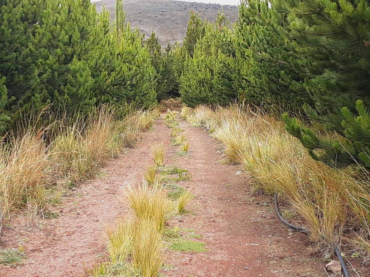 Hospedaje Chimborazo Экстерьер фото