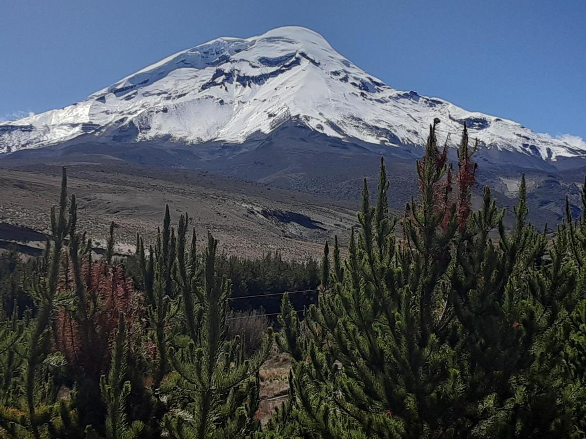 Hospedaje Chimborazo Экстерьер фото