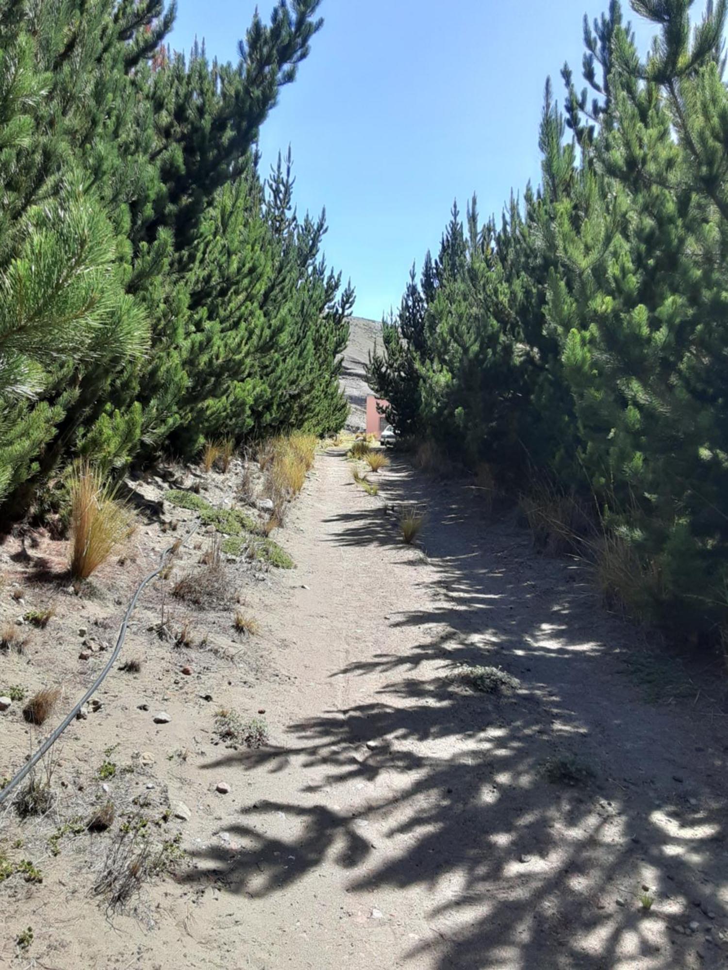 Hospedaje Chimborazo Экстерьер фото